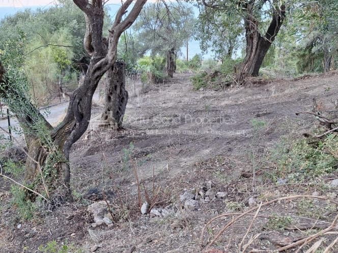 Οικόπεδο στην Μελιτειέοι, Κέρκυρα — Φωτογραφία 20 από 30