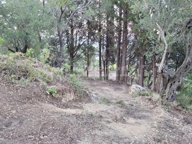 Οικόπεδο στην Μελιτειέοι, Κέρκυρα — Φωτογραφία 21 από 30