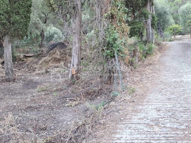 Οικόπεδο στην Μελιτειέοι, Κέρκυρα — Φωτογραφία 17 από 30