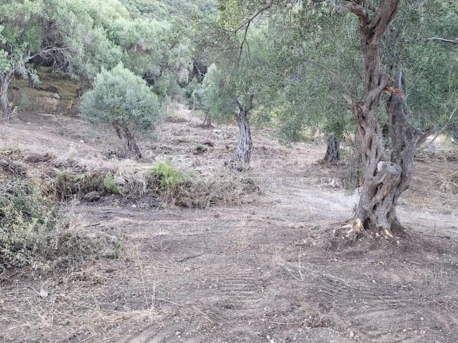 Οικόπεδο στην Μελιτειέοι, Κέρκυρα — Φωτογραφία 29 από 30