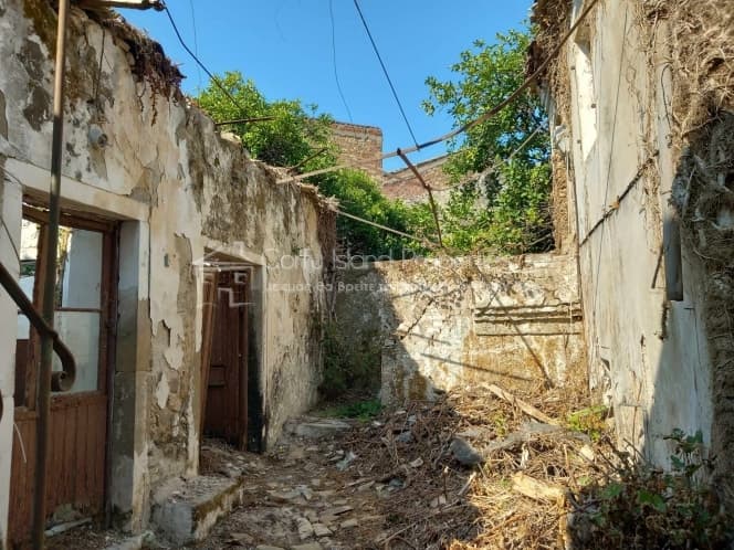 House in Achilleio, Corfu — Photo 4 of 14