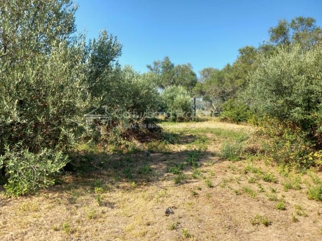 Οικόπεδο στην Αχίλλειο, Κέρκυρα — Φωτογραφία 11 από 13