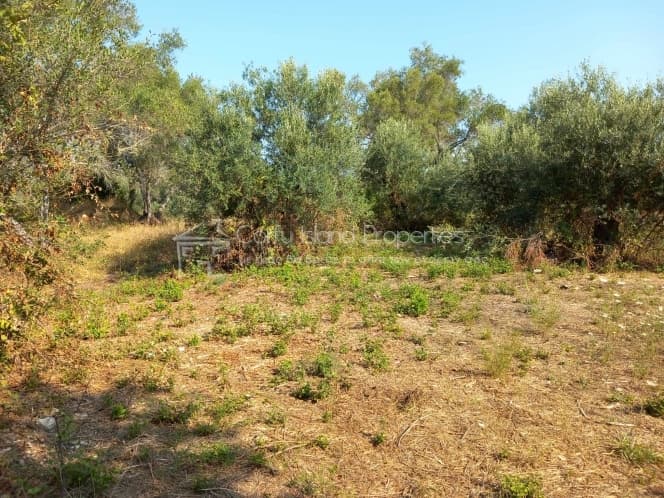 Οικόπεδο στην Αχίλλειο, Κέρκυρα — Φωτογραφία 8 από 13