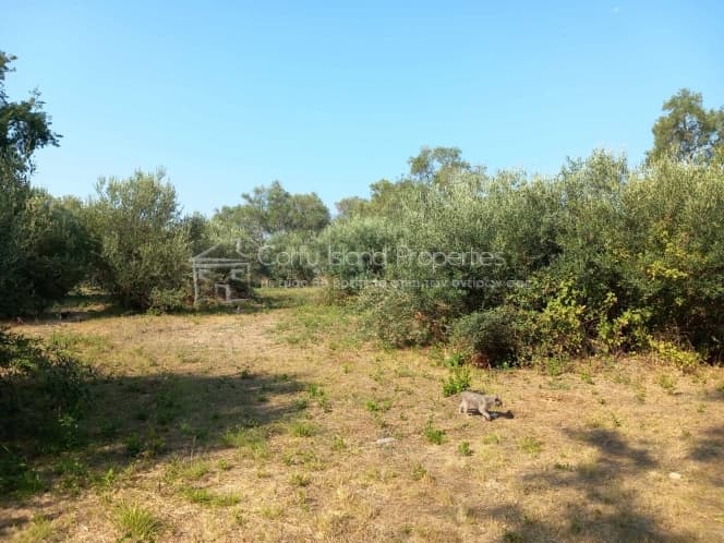 Οικόπεδο στην Αχίλλειο, Κέρκυρα — Φωτογραφία 2 από 13