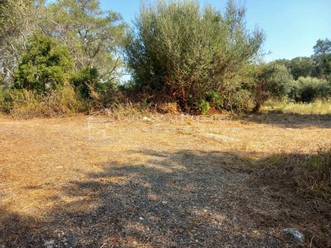 Οικόπεδο στην Αχίλλειο, Κέρκυρα — Φωτογραφία 1 από 13