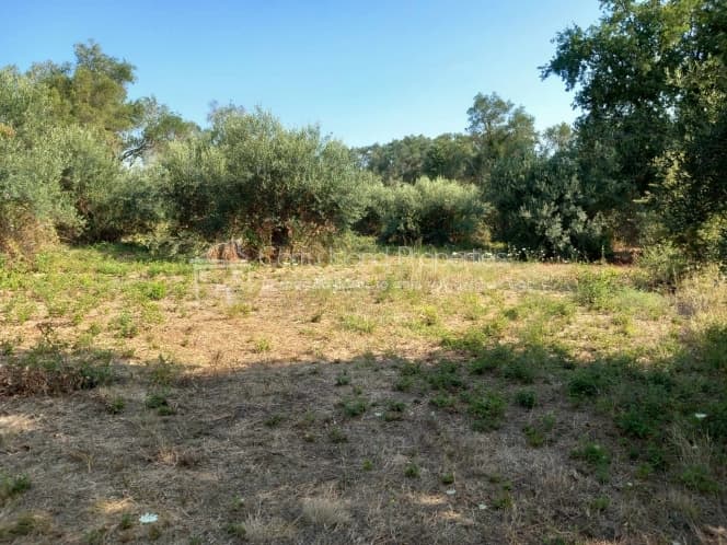 Οικόπεδο στην Αχίλλειο, Κέρκυρα — Φωτογραφία 3 από 13