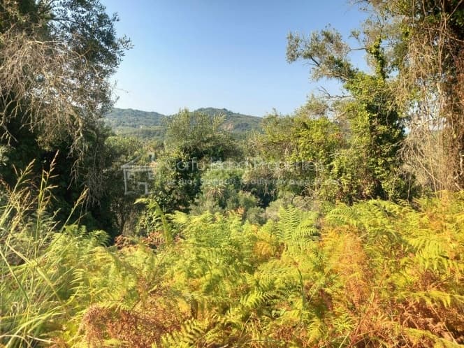 Οικόπεδο στην Αχίλλειο, Κέρκυρα — Φωτογραφία 7 από 11