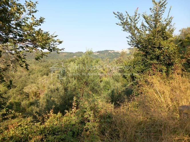 Οικόπεδο στην Αχίλλειο, Κέρκυρα — Φωτογραφία 2 από 11