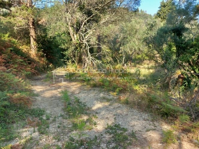 Οικόπεδο στην Αχίλλειο, Κέρκυρα — Φωτογραφία 5 από 8