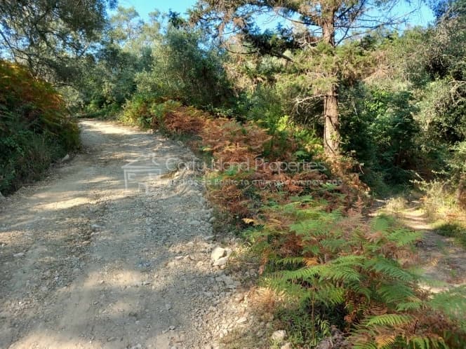 Οικόπεδο στην Αχίλλειο, Κέρκυρα — Φωτογραφία 6 από 8