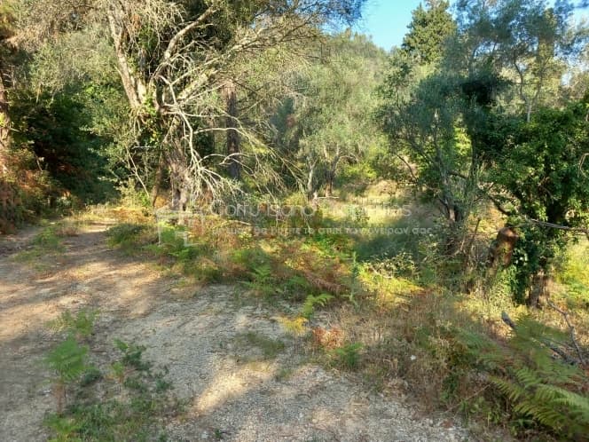 Οικόπεδο στην Αχίλλειο, Κέρκυρα — Φωτογραφία 4 από 8