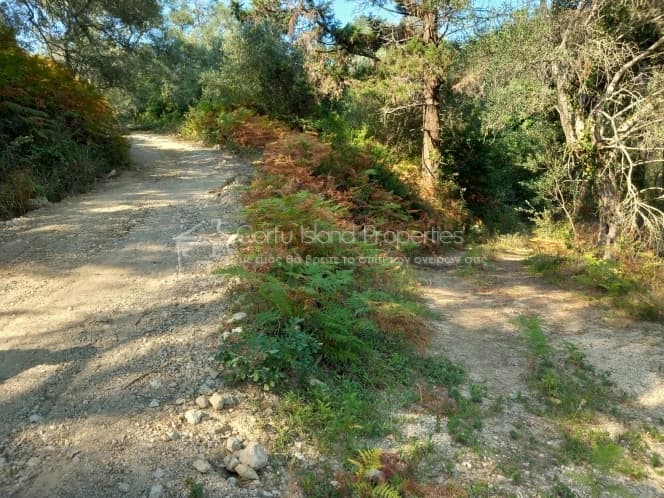 Οικόπεδο στην Αχίλλειο, Κέρκυρα — Φωτογραφία 3 από 8
