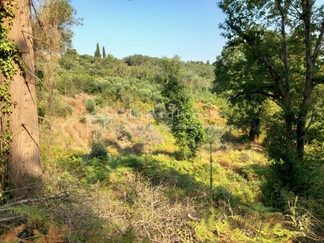Οικόπεδο στην Αχίλλειο, Κέρκυρα — Φωτογραφία 2 από 8