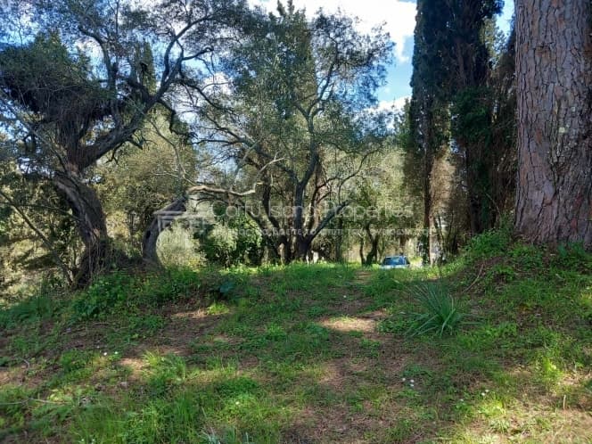 Οικόπεδο στην Παρέλι, Κέρκυρα — Φωτογραφία 1 από 8