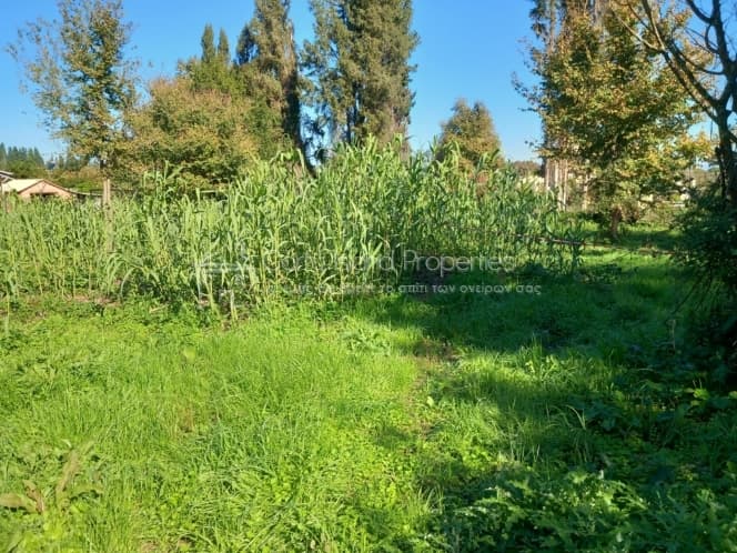 Οικόπεδο στην Παρέλι, Κέρκυρα — Φωτογραφία 7 από 16