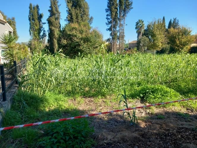 Οικόπεδο στην Παρέλι, Κέρκυρα — Φωτογραφία 10 από 16