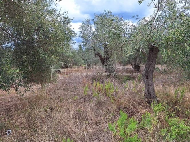 Οικόπεδο στην Βασιλάτικα, Κέρκυρα — Φωτογραφία 13 από 30