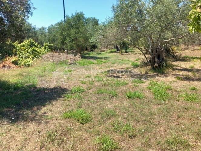 Οικόπεδο στην Βασιλάτικα, Κέρκυρα — Φωτογραφία 1 από 30