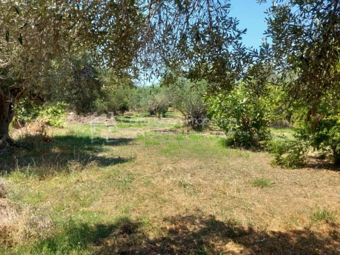 Οικόπεδο στην Βασιλάτικα, Κέρκυρα — Φωτογραφία 3 από 30