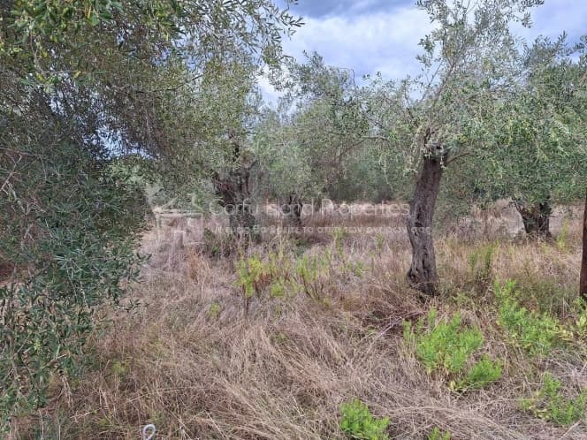Οικόπεδο στην Βασιλάτικα, Κέρκυρα — Φωτογραφία 14 από 30
