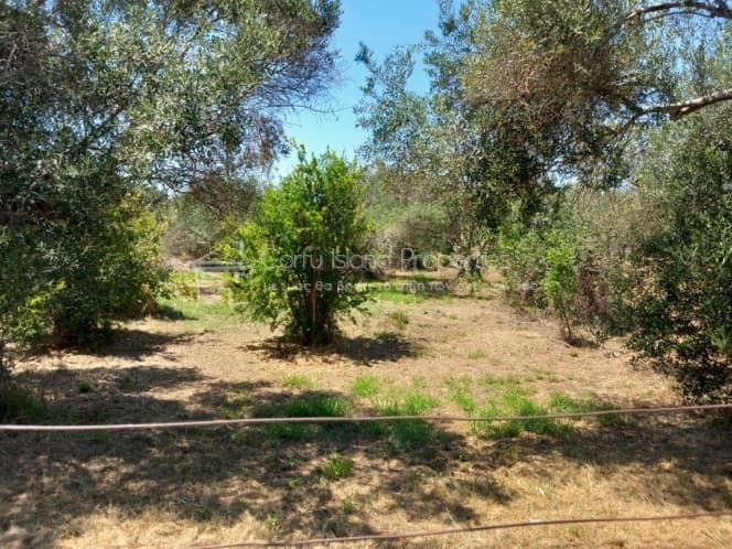 Οικόπεδο στην Βασιλάτικα, Κέρκυρα — Φωτογραφία 4 από 30