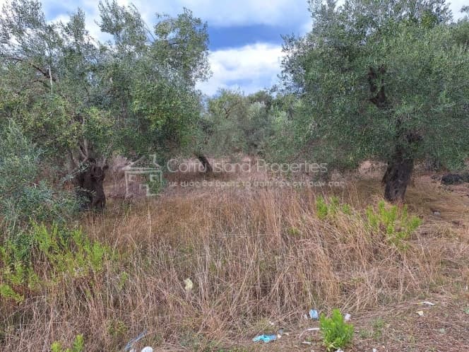 Οικόπεδο στην Βασιλάτικα, Κέρκυρα — Φωτογραφία 11 από 30