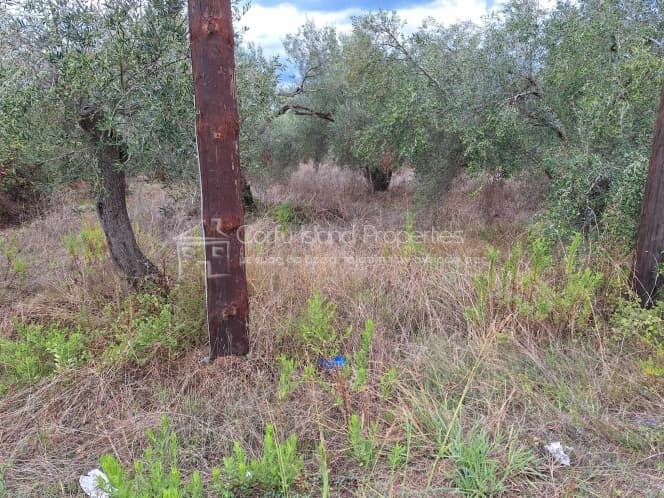 Οικόπεδο στην Βασιλάτικα, Κέρκυρα — Φωτογραφία 19 από 30