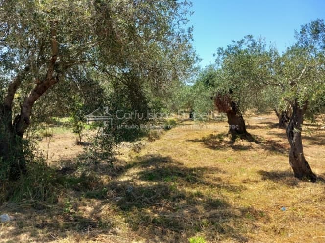 Οικόπεδο στην Βασιλάτικα, Κέρκυρα — Φωτογραφία 5 από 30