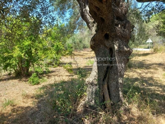 Οικόπεδο στην Βασιλάτικα, Κέρκυρα — Φωτογραφία 7 από 30