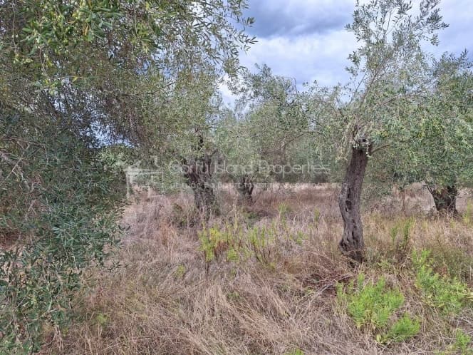 Οικόπεδο στην Βασιλάτικα, Κέρκυρα — Φωτογραφία 18 από 30