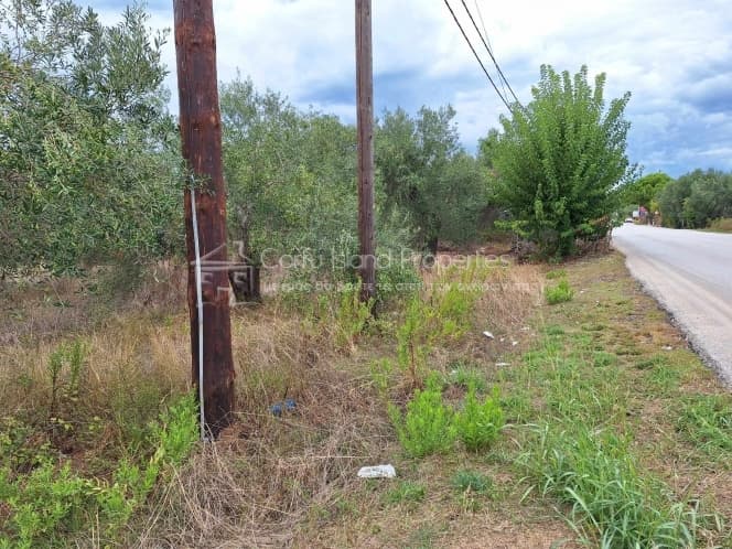 Οικόπεδο στην Βασιλάτικα, Κέρκυρα — Φωτογραφία 22 από 30