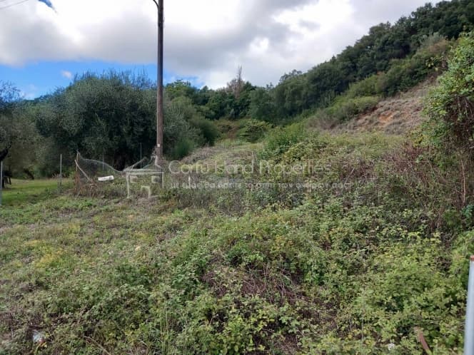 Οικόπεδο στην Παρέλι, Κέρκυρα — Φωτογραφία 2 από 5