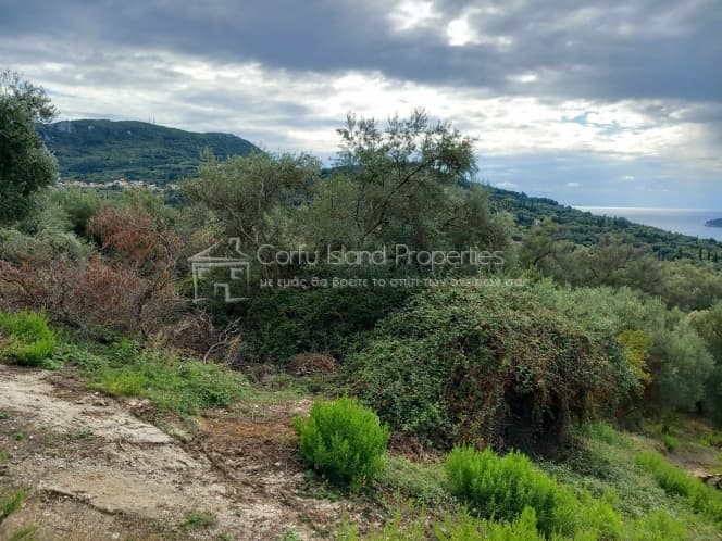 Οικόπεδο στην Άγιος Γεώργιος, Κέρκυρα — Φωτογραφία 7 από 14