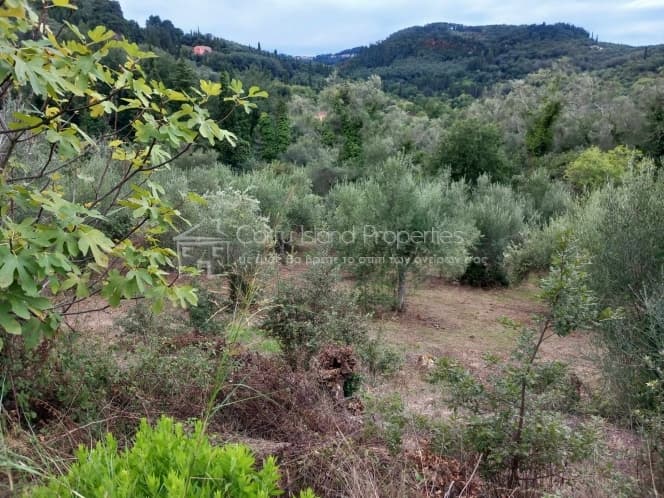 Οικόπεδο στην Άγιος Γεώργιος, Κέρκυρα — Φωτογραφία 4 από 12