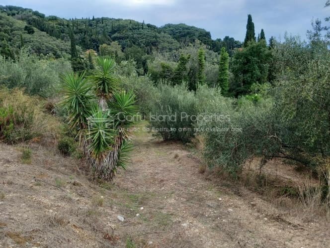 Οικόπεδο στην Άγιος Γεώργιος, Κέρκυρα — Φωτογραφία 1 από 12