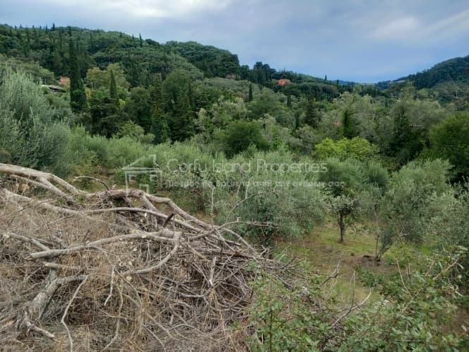 Οικόπεδο στην Άγιος Γεώργιος, Κέρκυρα — Φωτογραφία 8 από 12