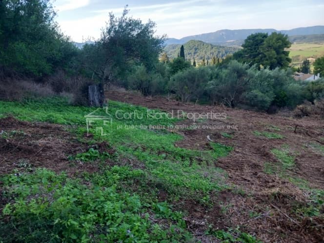 Οικόπεδο στην Παρέλι, Κέρκυρα — Φωτογραφία 7 από 19