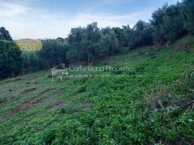 Οικόπεδο στην Παρέλι, Κέρκυρα — Φωτογραφία 16 από 19