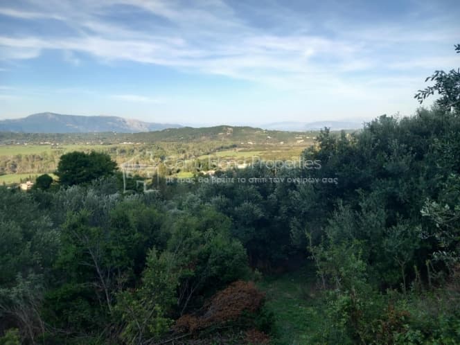 Οικόπεδο στην Παρέλι, Κέρκυρα — Φωτογραφία 2 από 19