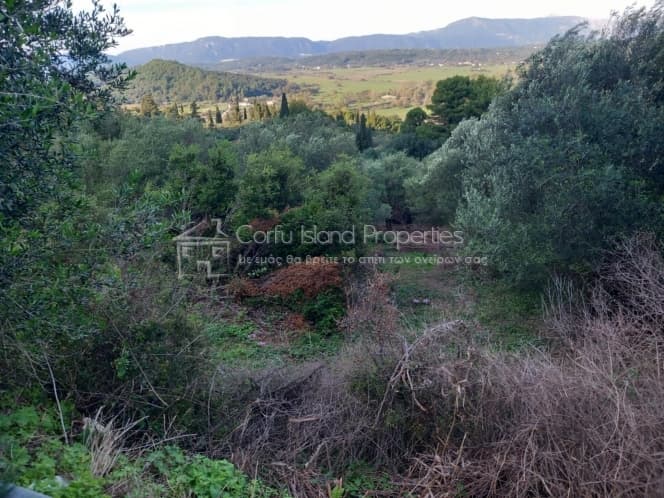 Οικόπεδο στην Παρέλι, Κέρκυρα — Φωτογραφία 15 από 19