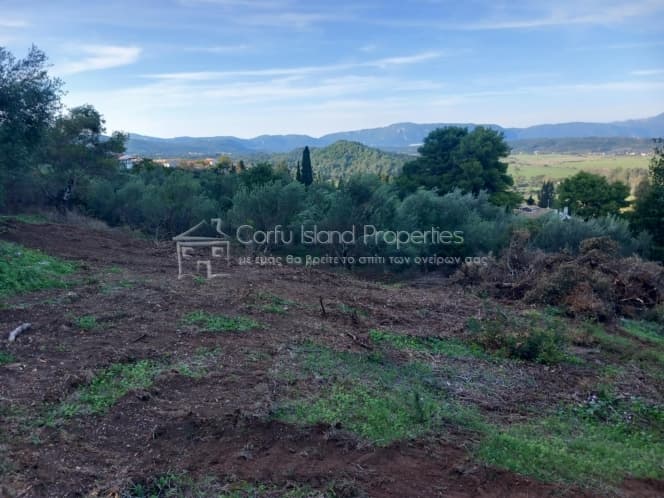 Οικόπεδο στην Παρέλι, Κέρκυρα — Φωτογραφία 8 από 19
