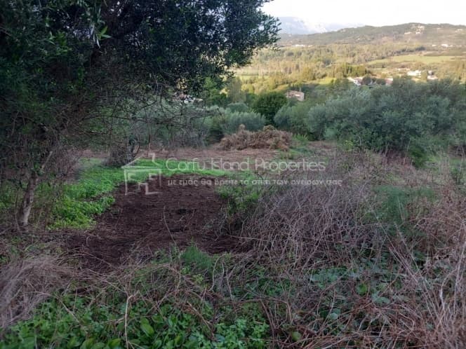 Οικόπεδο στην Παρέλι, Κέρκυρα — Φωτογραφία 10 από 19