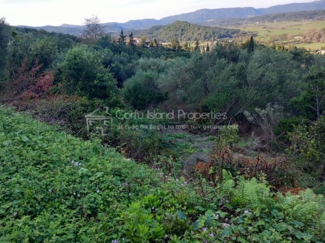 Οικόπεδο στην Παρέλι, Κέρκυρα — Φωτογραφία 6 από 19