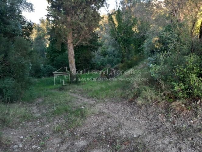 Οικόπεδο στην Παρέλι, Κέρκυρα — Φωτογραφία 9 από 11