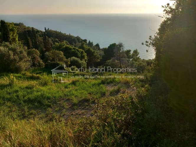 Οικόπεδο στην Παρέλι, Κέρκυρα — Φωτογραφία 3 από 11