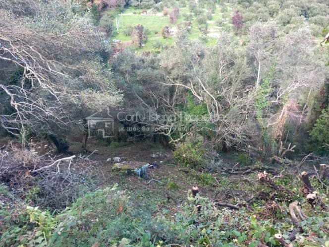 Οικόπεδο στην Κασσιόπη, Κέρκυρα — Φωτογραφία 5 από 11