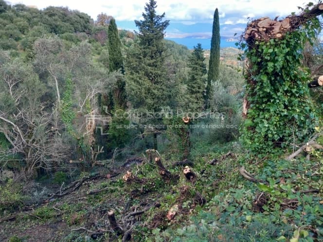 Οικόπεδο στην Κασσιόπη, Κέρκυρα — Φωτογραφία 3 από 11