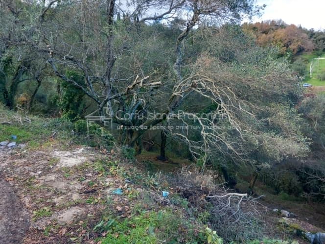 Οικόπεδο στην Κασσιόπη, Κέρκυρα — Φωτογραφία 4 από 11