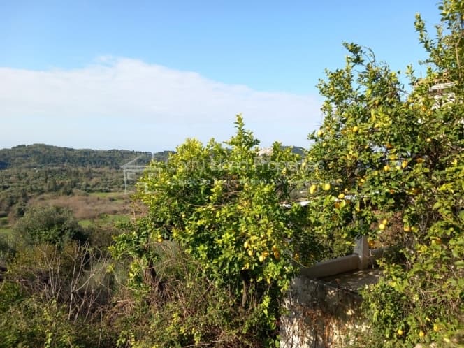 House in Achilleio, Corfu — Photo 29 of 30