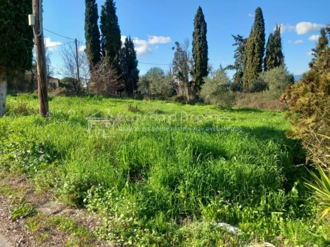 Οικόπεδο στην Παρέλι, Κέρκυρα — Φωτογραφία 2 από 11